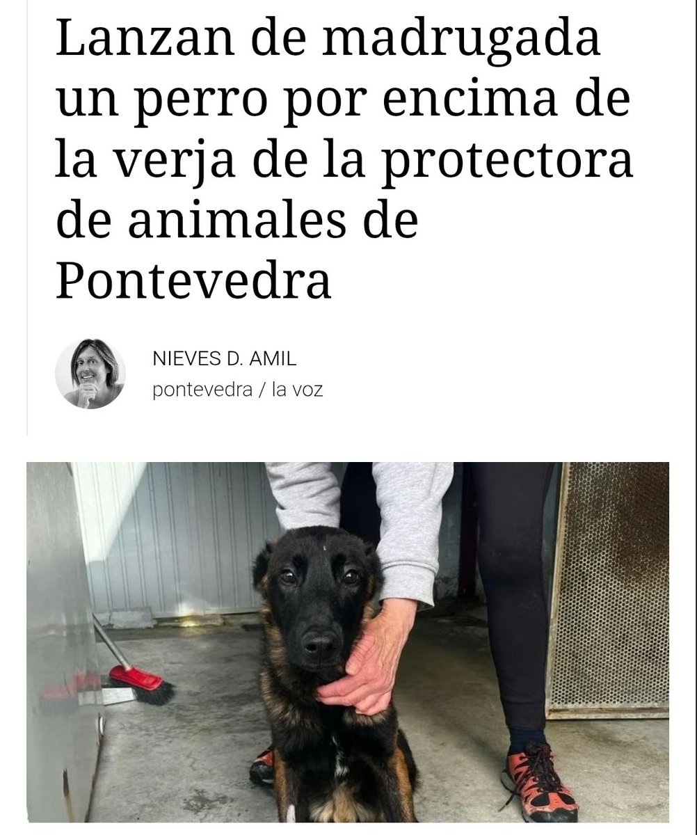 Cobarde, que no tiene ni la decencia de presentarse y decirles a la cara que es una mierda de ser humano.

📰lavozdegalicia.es/noticia/pontev…