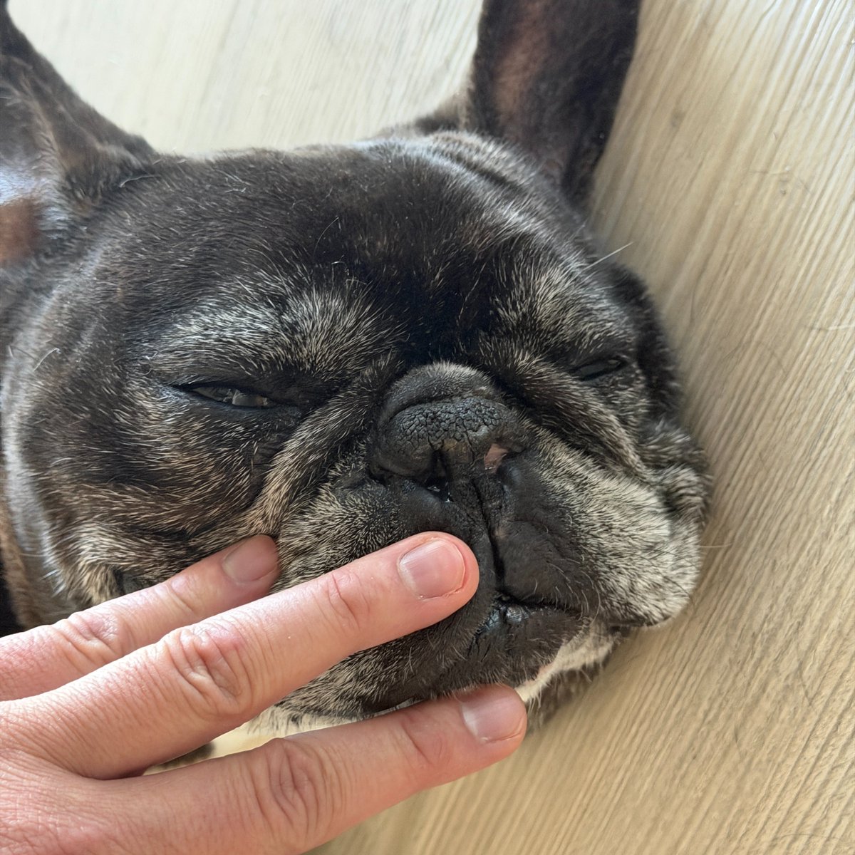 Show us the weirdest or most interesting thing you have in your home 

$500 USDC to top 10 winners. 

Make sure to include:
✍️ The story behind it 
🖖 Place 3 fingers on the object so we know it's yours.
🤌 EVM address

**Holders of at least 1,000 $CREATOR get double.