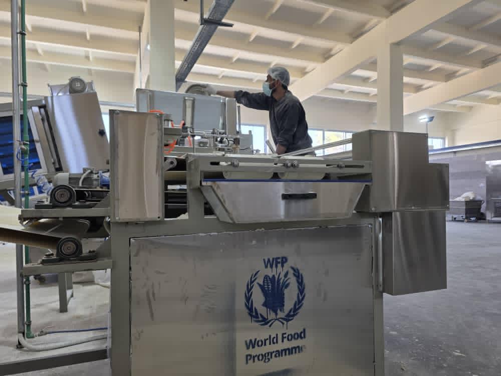WFP Syria tweet media