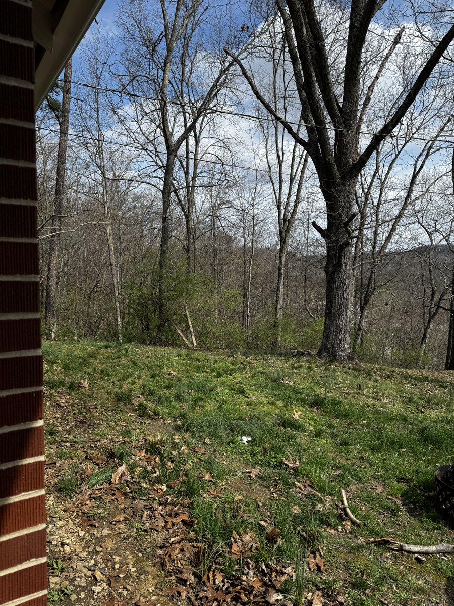 ✪ 𝔻𝕚𝕤𝕥𝕚𝕟𝕘𝕦𝕚𝕤𝕙𝕖𝕕 ℍ𝕚𝕝𝕝𝕓𝕚𝕝𝕝𝕪 ✘ tweet media