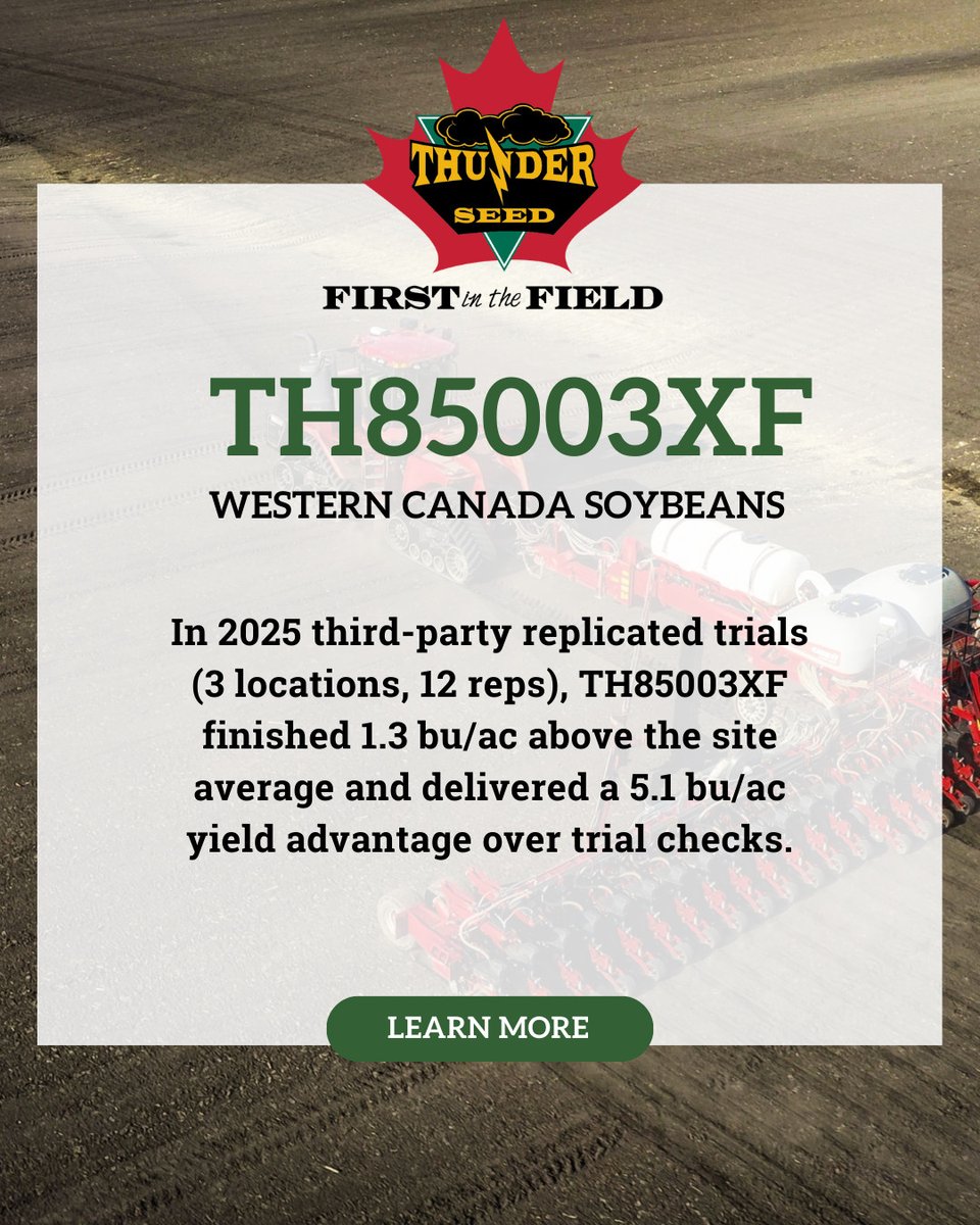 Thunder Seed tweet media