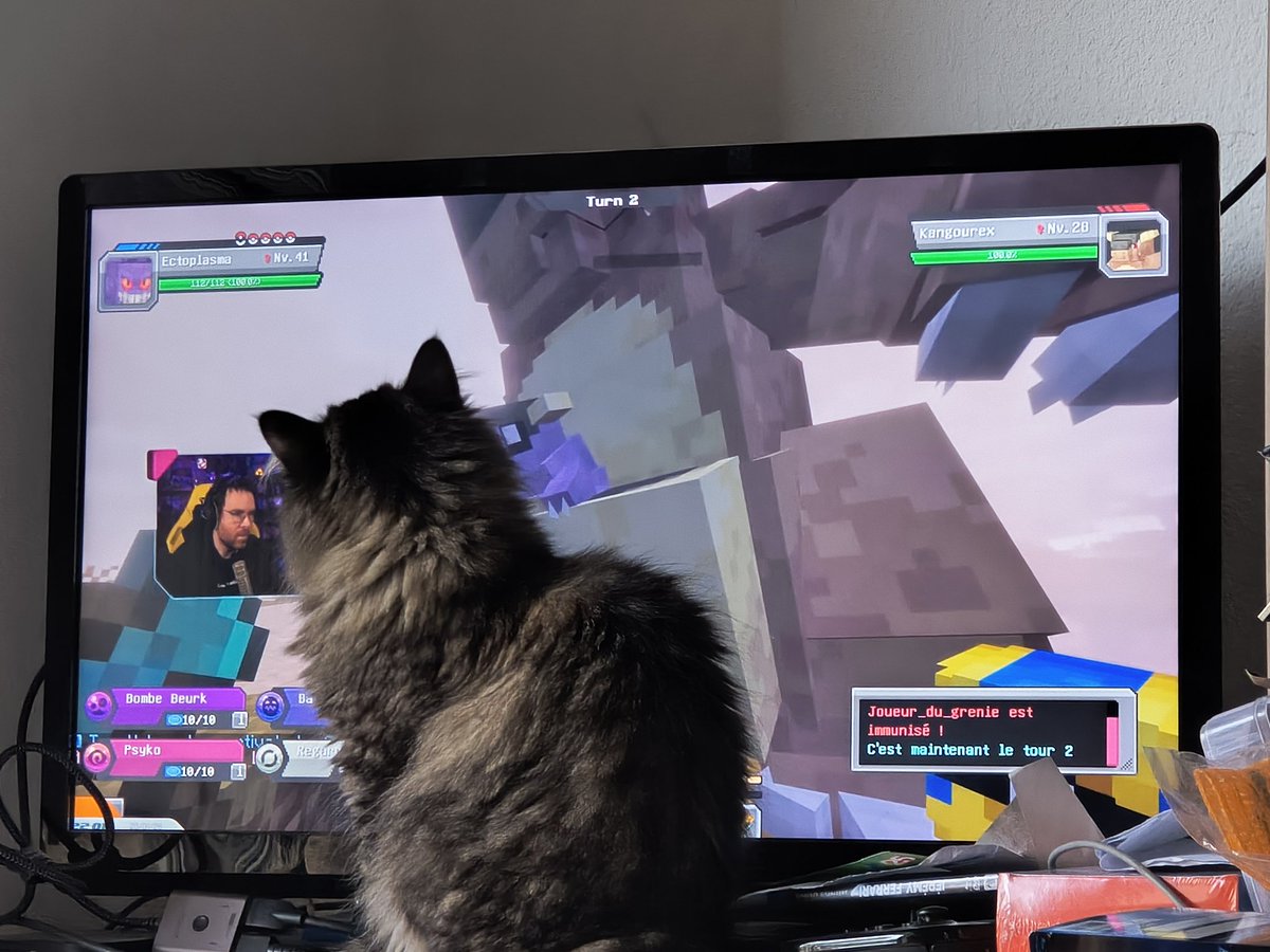 thotibus's tweet photo. Poppy passion, regarder les best-of et faire des bisous à @Frederic_Molas . https://t.co/Cx16HaJtDT