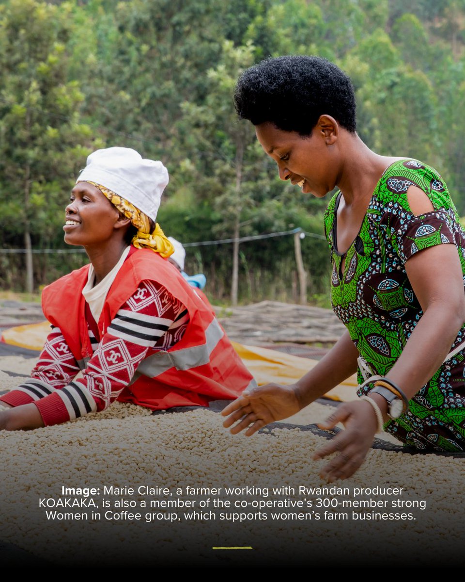 Shared Interest tweet media