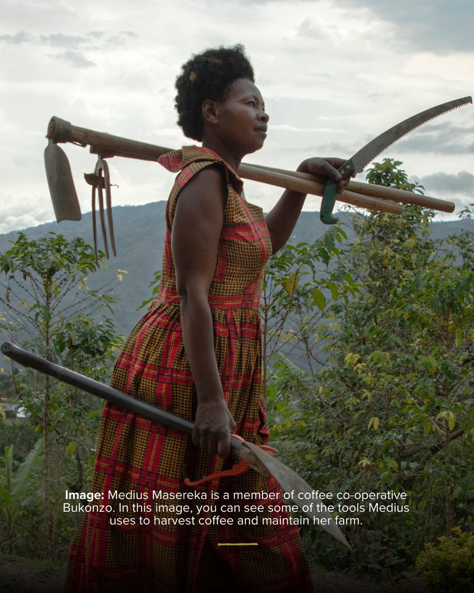 Shared Interest tweet media