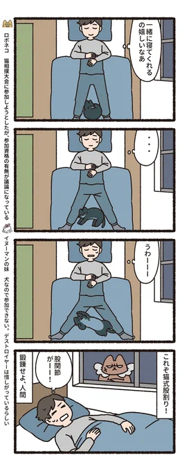 悪の秘密結社ネコ その194  #悪の秘密結社ネコ 