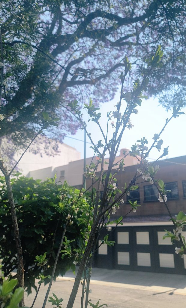 Admirar la naturaleza es uno de mis hobbies