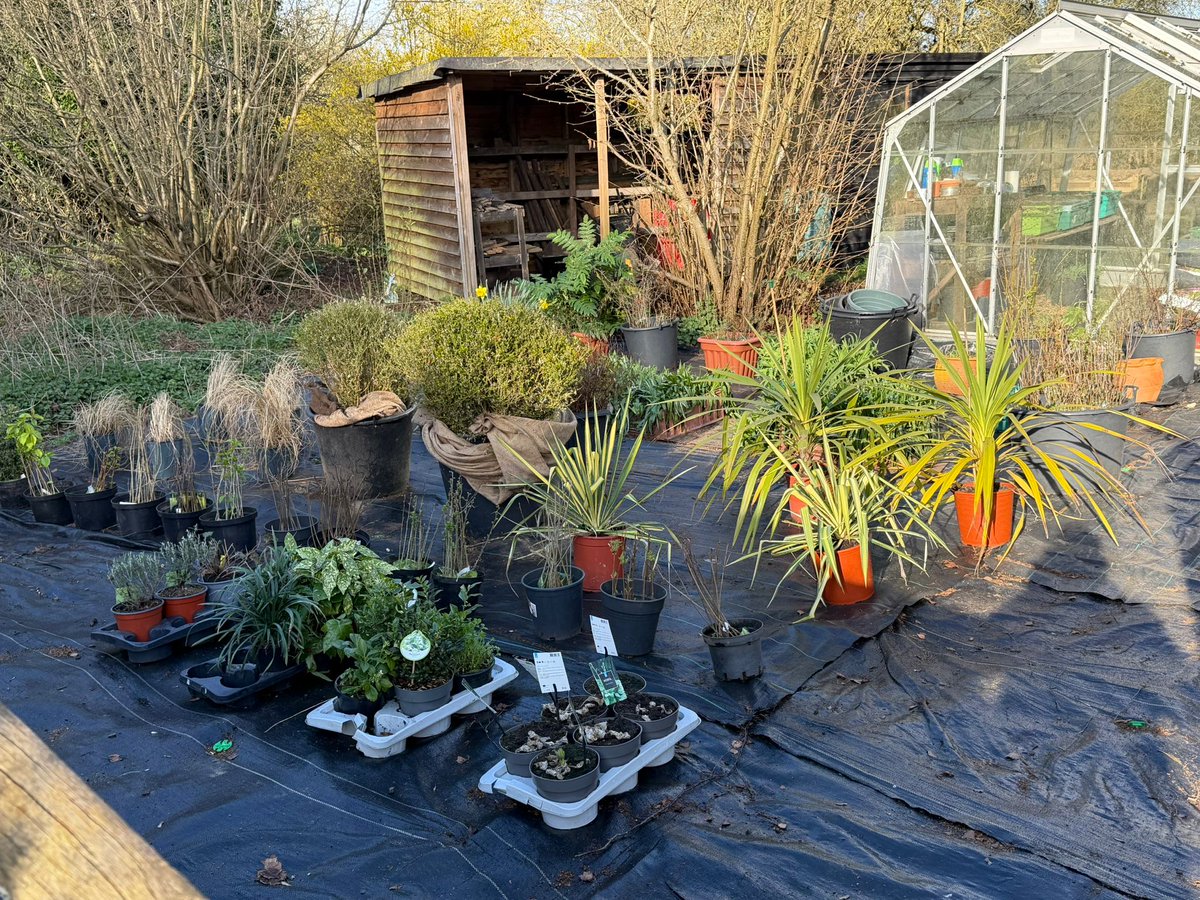 Gorsefield Rural Studies & Outdoor Activity Centre tweet media