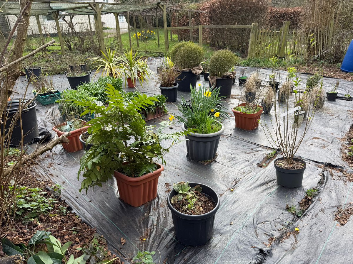 Gorsefield Rural Studies & Outdoor Activity Centre tweet media