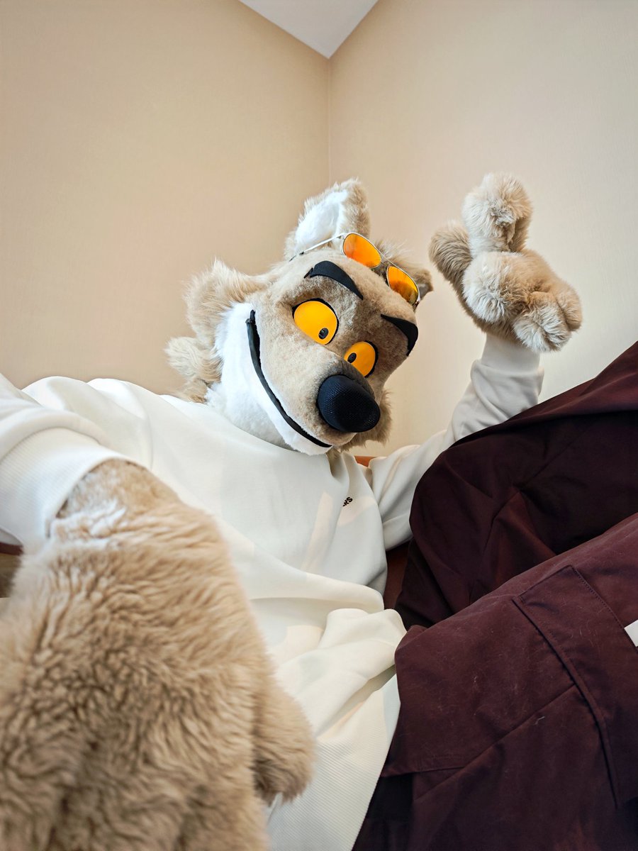 二阶代理Quadratic Proxy tweet media