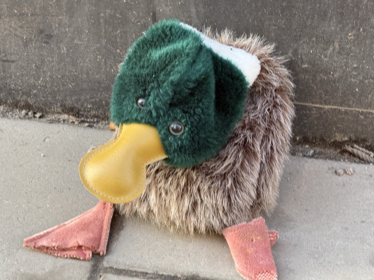 Jonas Cronholm-Lundin tweet media