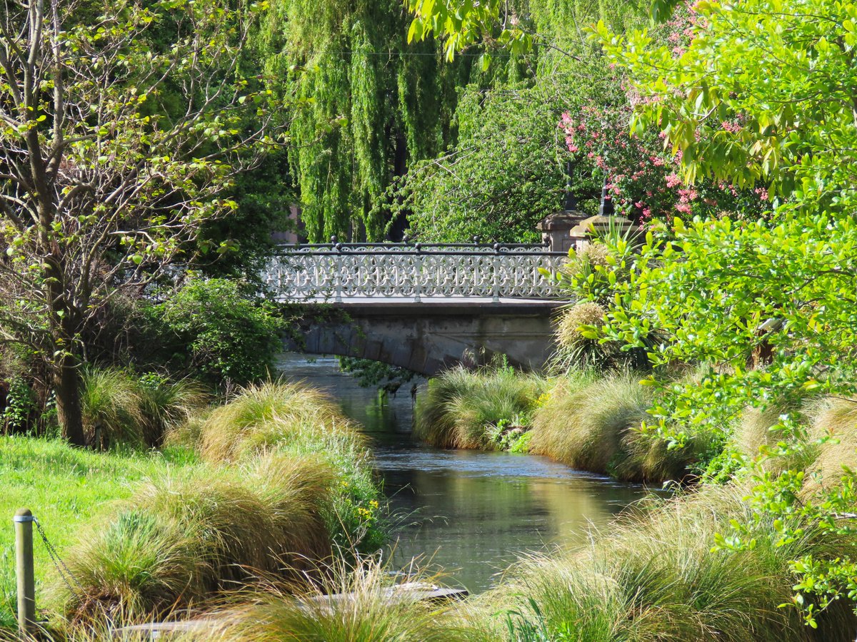 Jens Peter 🇩🇰 🇬🇱 🇫🇴 tweet media