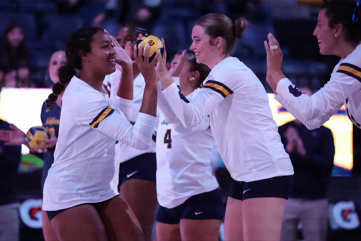 Cal Volleyball tweet media
