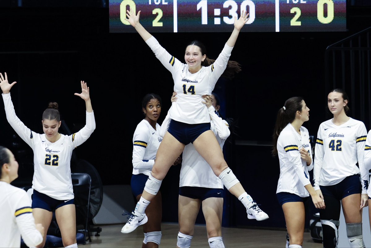 Cal Volleyball tweet media