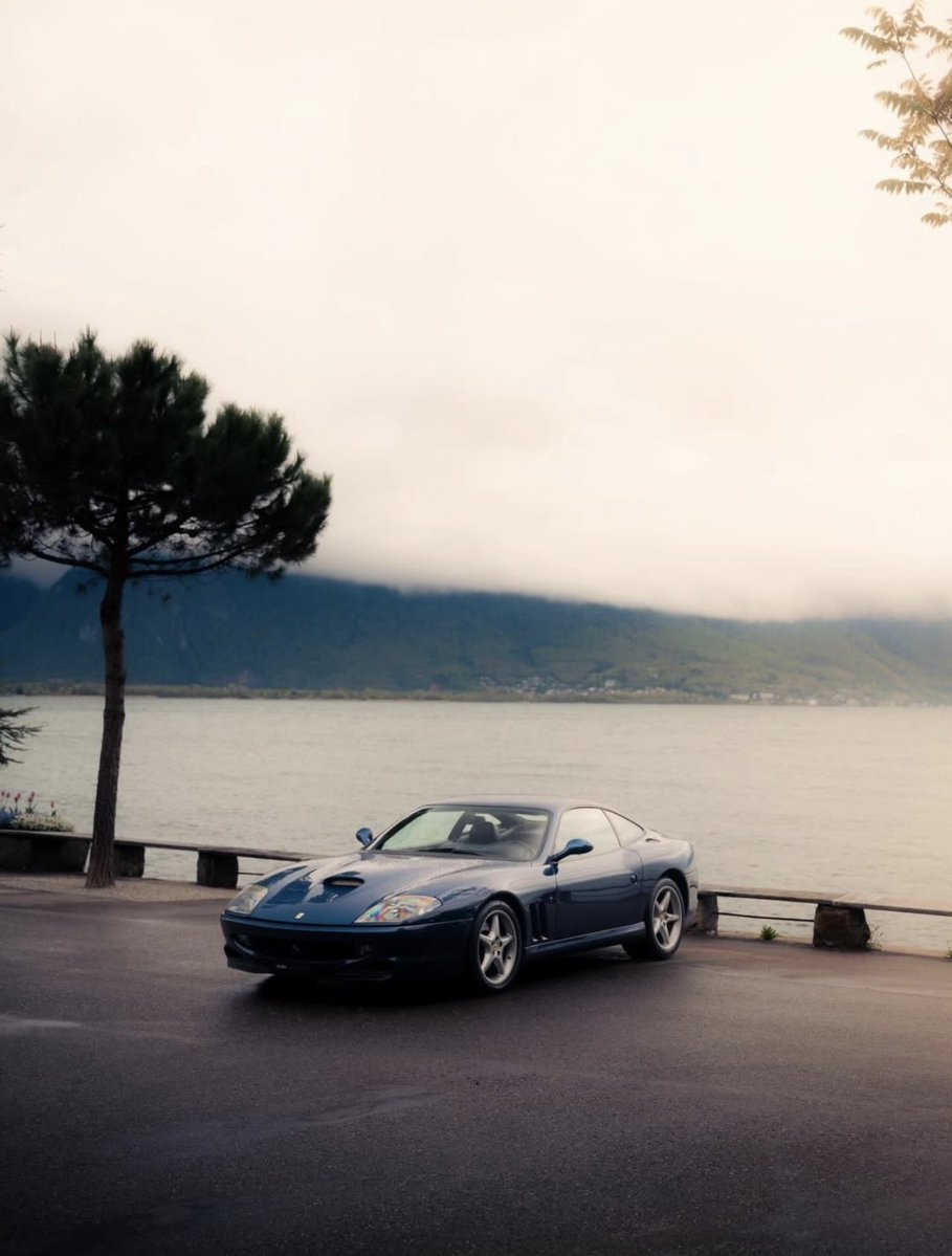 ๐ต๐๐๐๐๐๐ ๐ฟ๐๐๐ tweet media