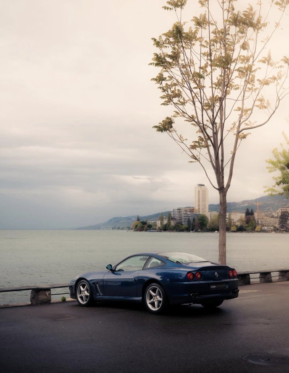 ๐ต๐๐๐๐๐๐ ๐ฟ๐๐๐ tweet media