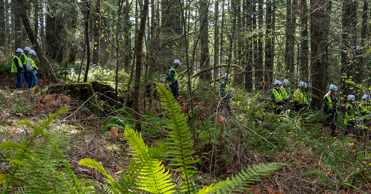 #MassTimberConference tweet media