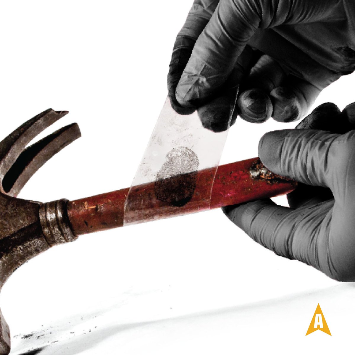 Arrowhead Forensics tweet media