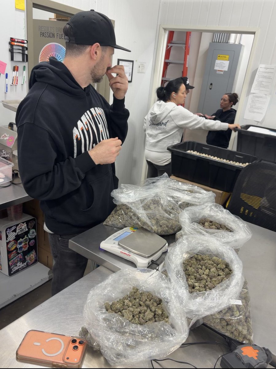 STINJE's tweet photo. The Standard Cannabis🔥 https://t.co/KdvbpUg9Mr