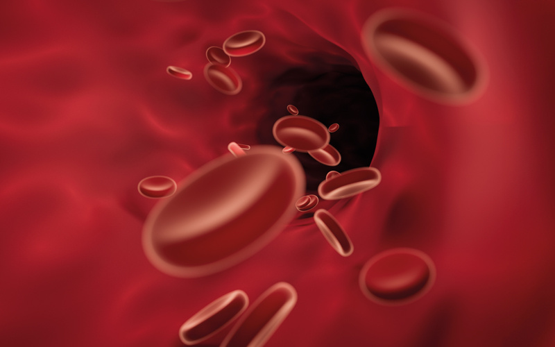 IBMS #AtTheHeartOfHealthcare tweet media