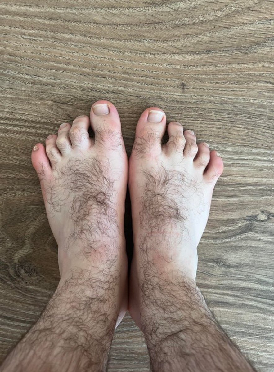 pulpo404 tweet media