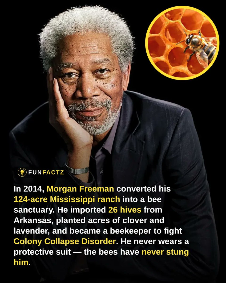 Fun Facts tweet media