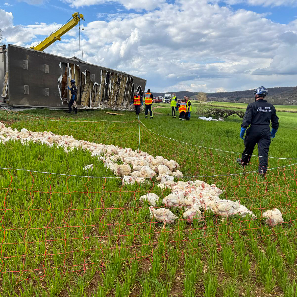 Sapeurs-Pompiers de la Nièvre tweet media