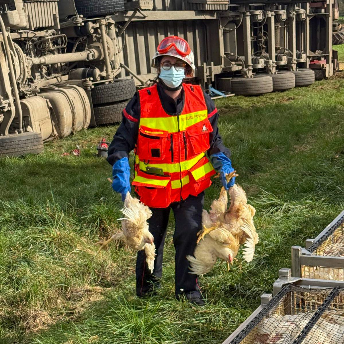 Sapeurs-Pompiers de la Nièvre tweet media