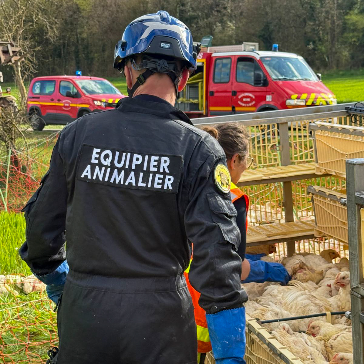 Sapeurs-Pompiers de la Nièvre tweet media