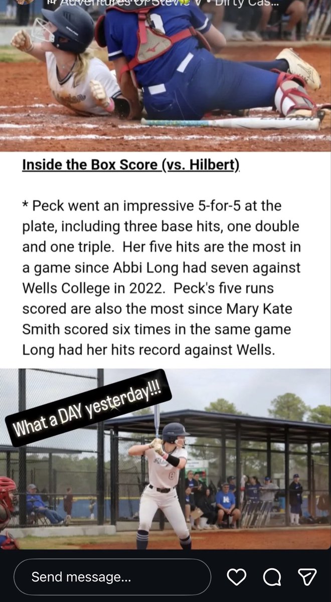 CJ FORCE SOFTBALL tweet media