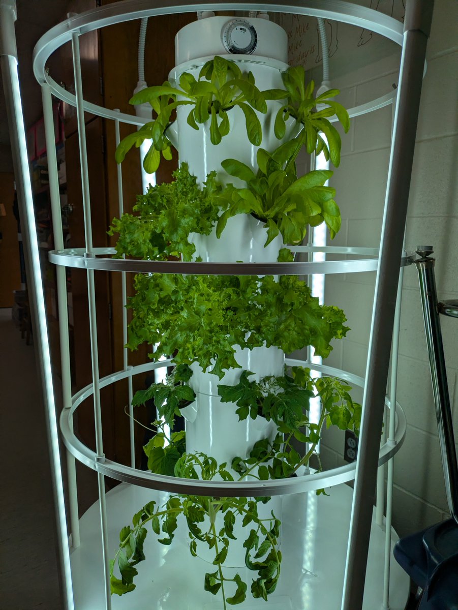 #AZKelseyAcademy tweet media