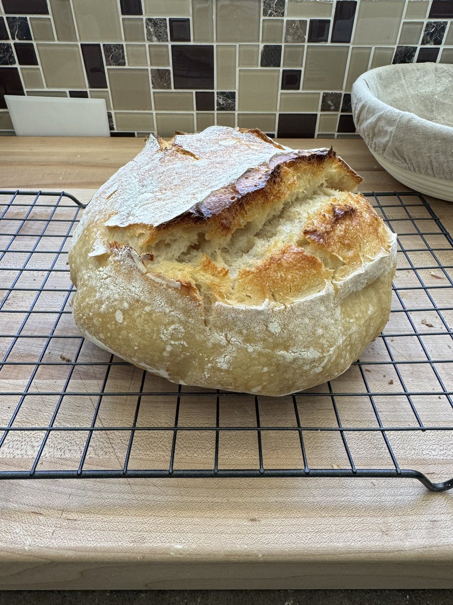 Cestone_Golf's tweet photo. Perfect Sourdough Proofing!  The Method I Use Every Time!  ​⁠#sourdough ... https://t.co/FTo43I17GI via @YouTube https://t.co/kzOGAGQnyH
