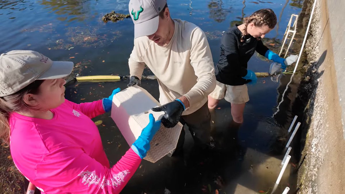 USF St. Petersburg tweet media