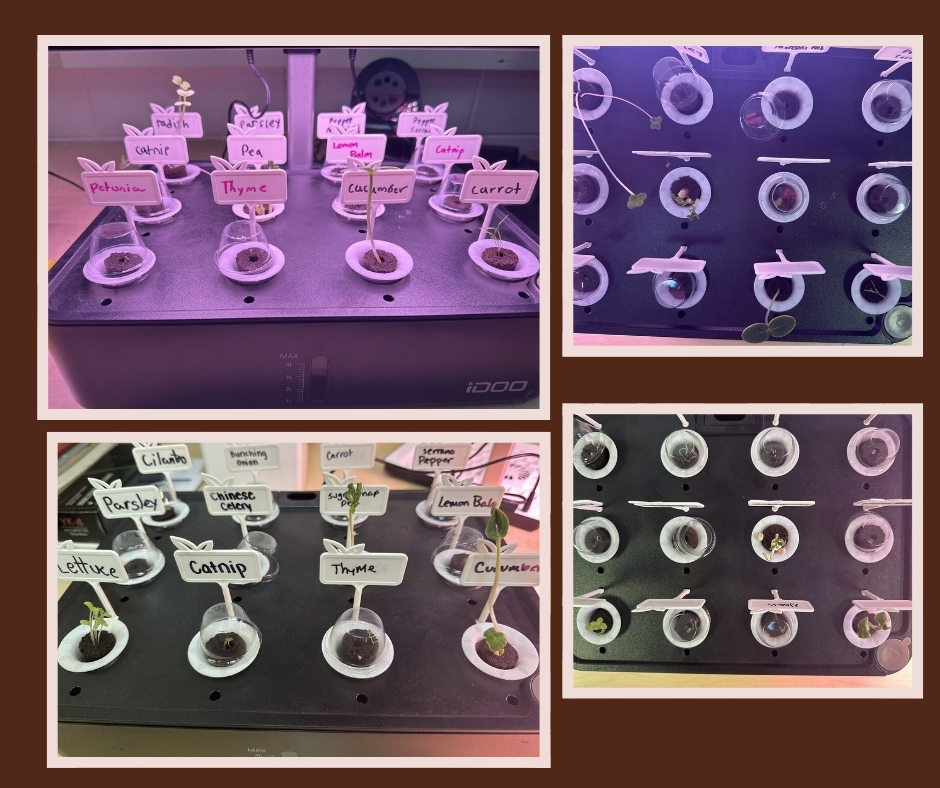 Springfield SD tweet media