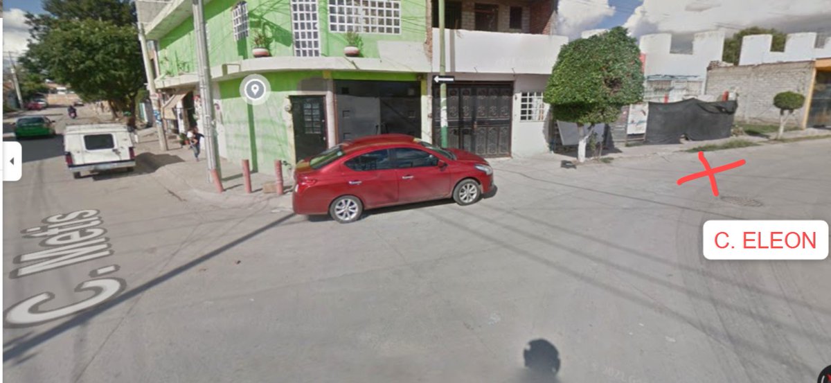 Iguanomayor tweet media