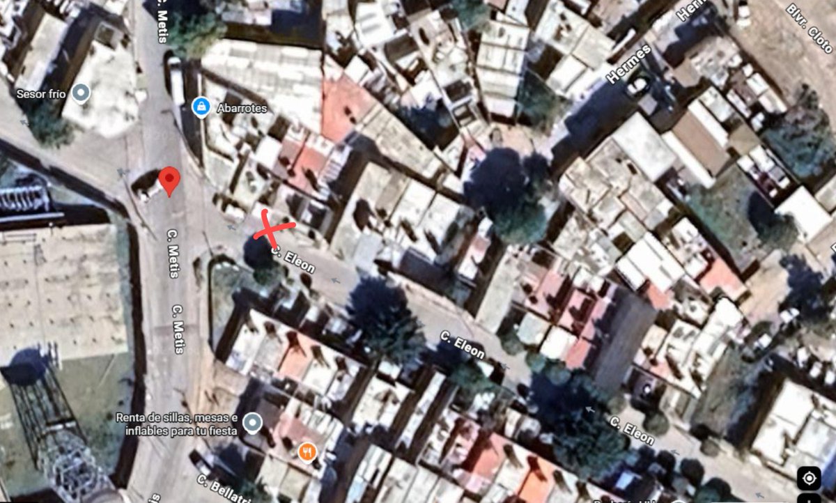 Iguanomayor tweet media