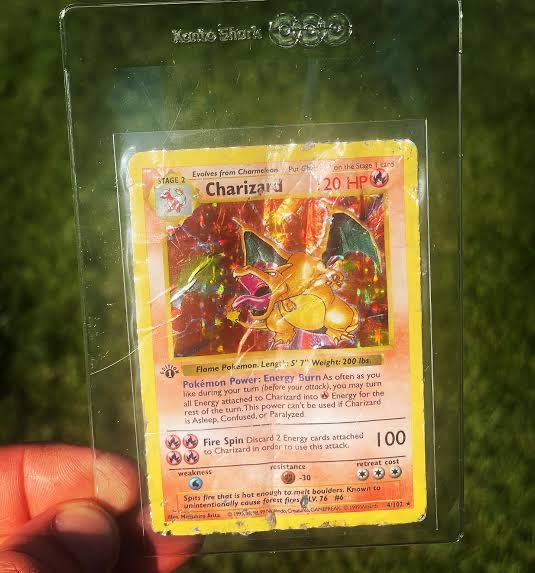 TheDamagedPokemonCollector tweet media