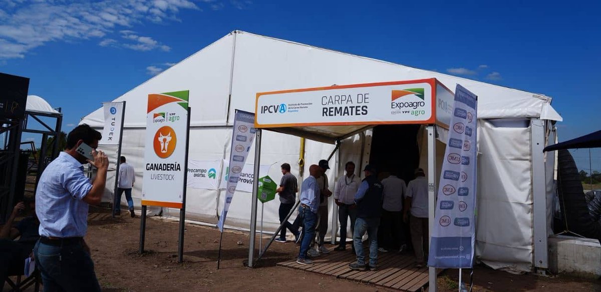 RuralNetOficial's tweet photo. #Ganadería #Expoagro2026 #ipcva #remates #terneros Terneros hasta $7.500 y remates por 40.000 cabezas: la invernada muestra firmeza y despierta interés en el mercado https://t.co/GeVYT7DtCN https://t.co/3PcbYI6YP2