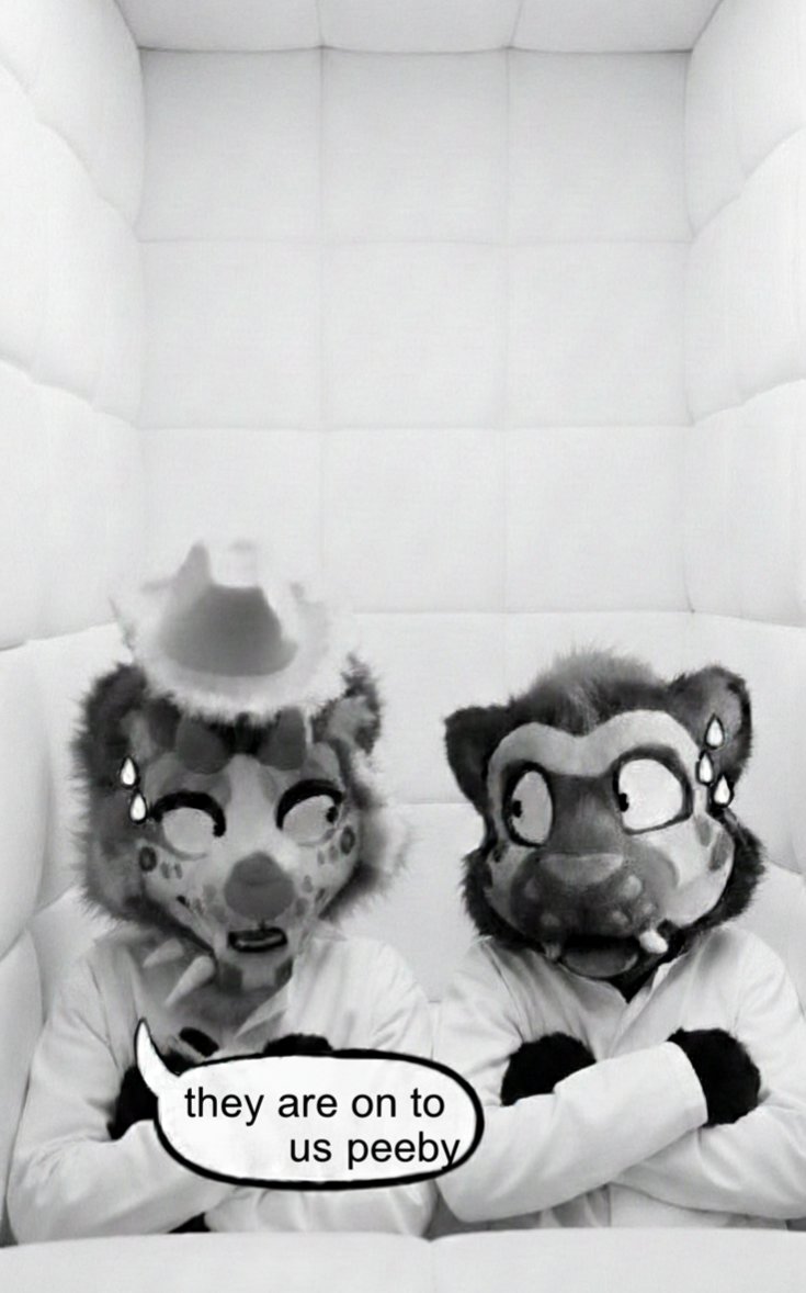 I am convinced at this point that a lot of the harassment that is being spread towards beta isn't just Peeby. It's becoming increasingly obvious that deranged mental patient catamarasnep is also behind it. Especially when you go and look up her history in the fandom