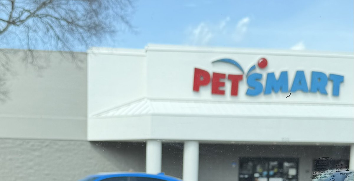 Amber Lake Farm(stead) 🕊️ tweet media