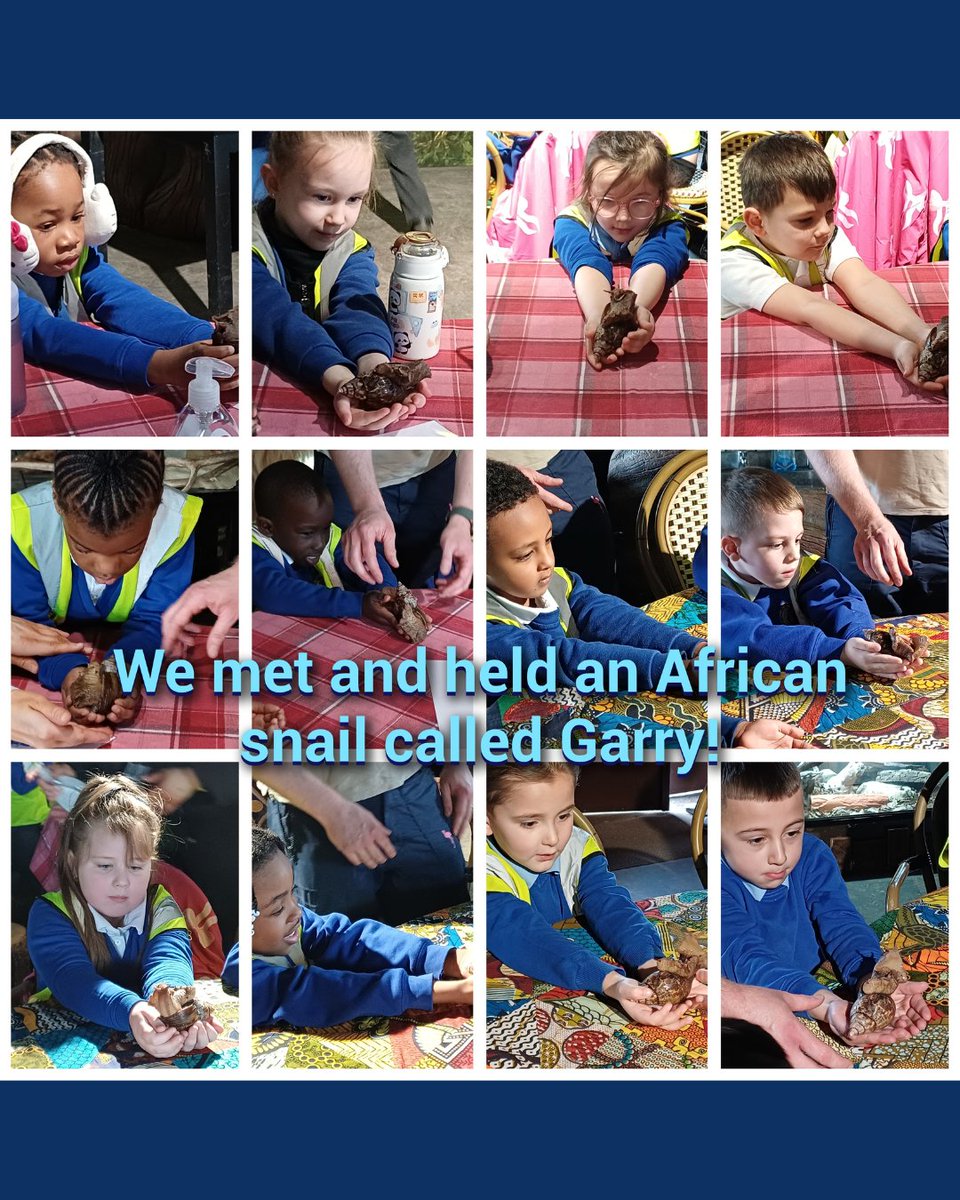 SharpLaneLeeds tweet media