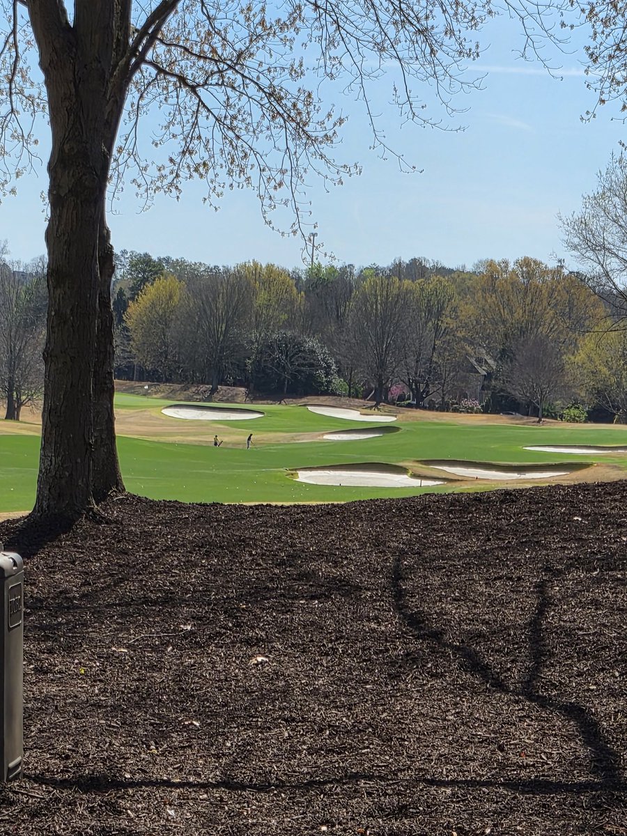 FearTheSkirt ⛳🏌🏻‍♀️🏆👠 🍷🇺🇸💎✝️ tweet media