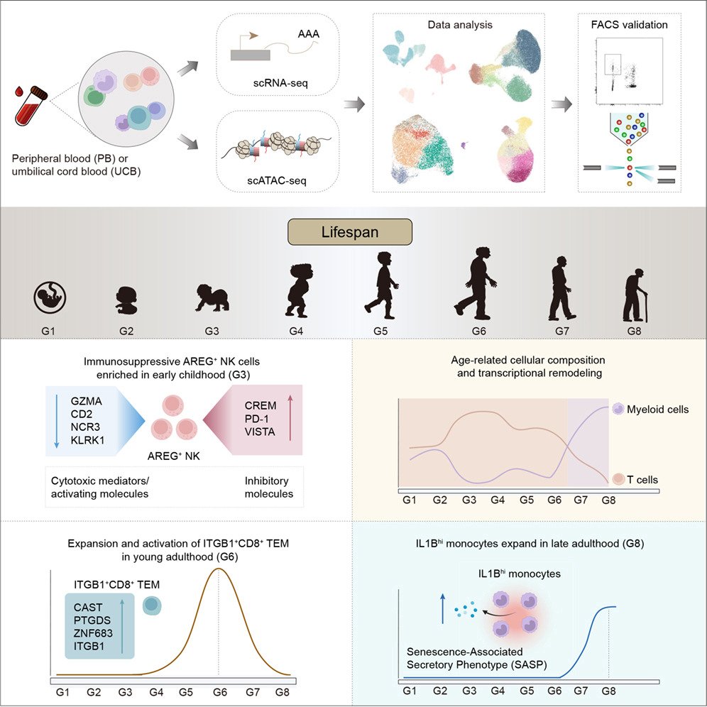 Waggoner Lab tweet media