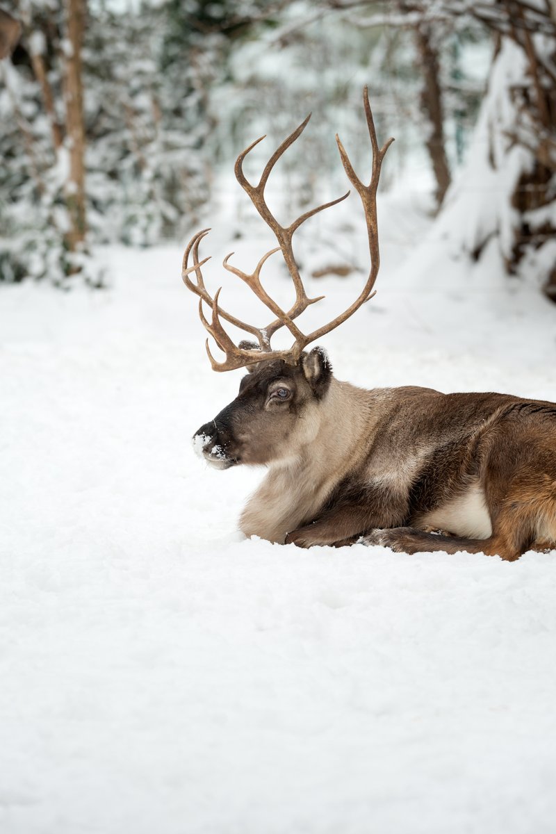 Trans Canada Trail 🇨🇦 tweet media