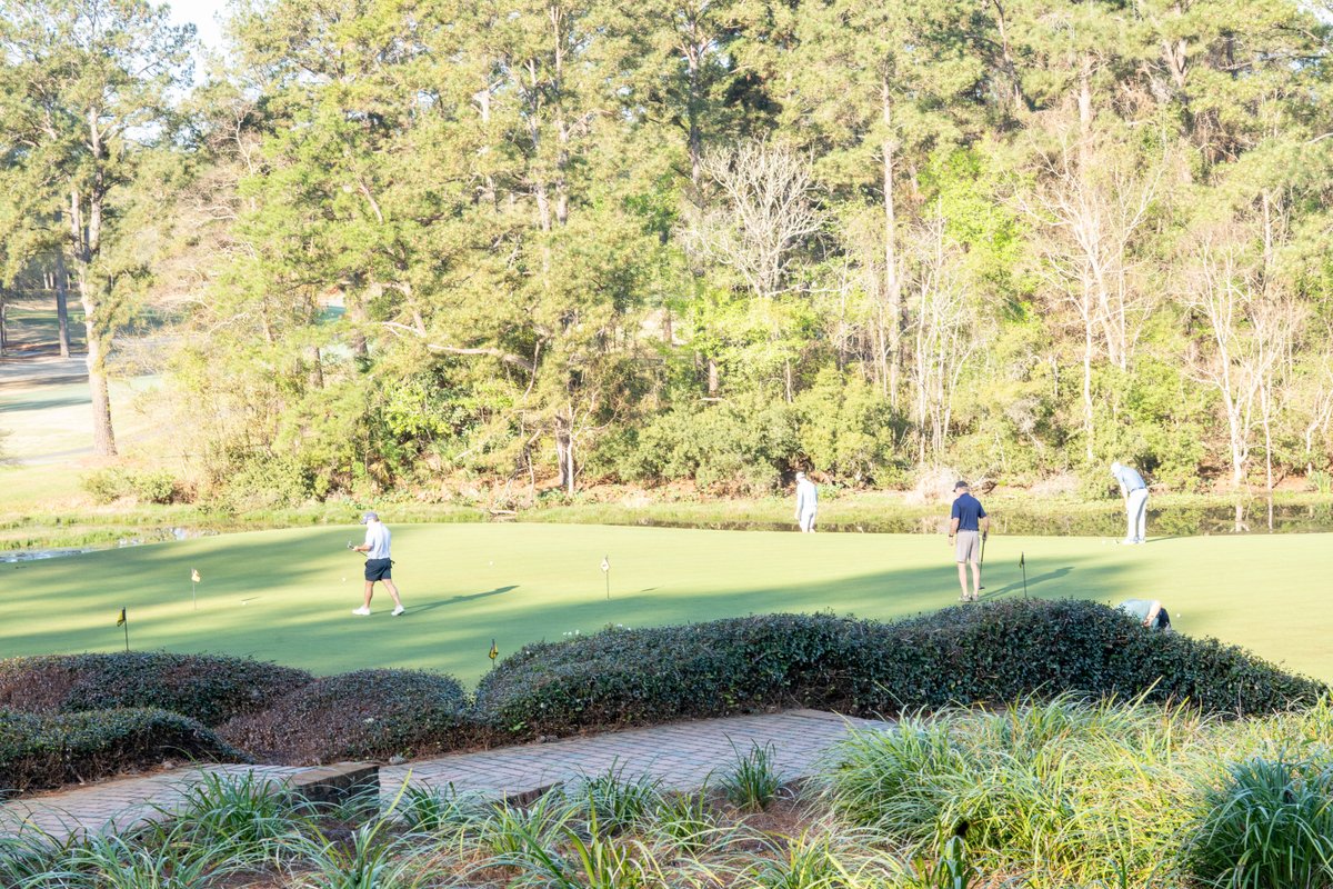 Tallahassee Police tweet media