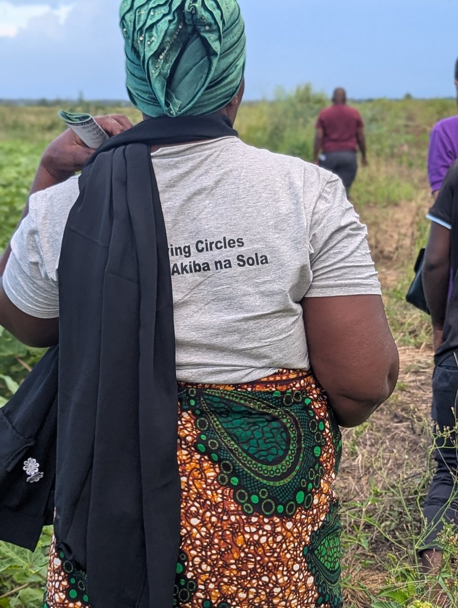 The Solar Foundation tweet media