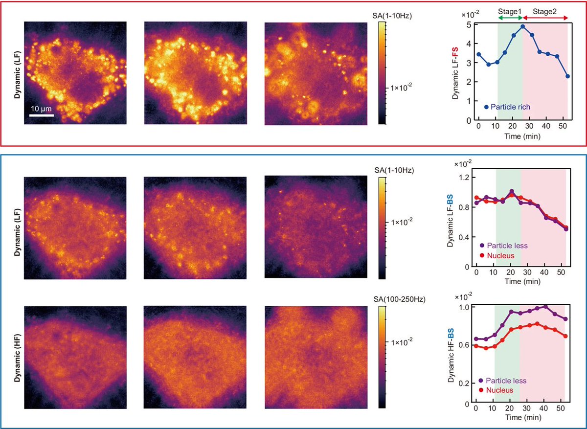 StainsFile tweet media