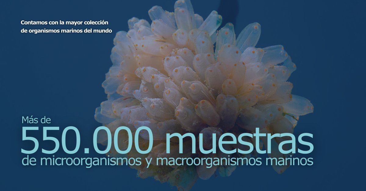 PharmaMar tweet media