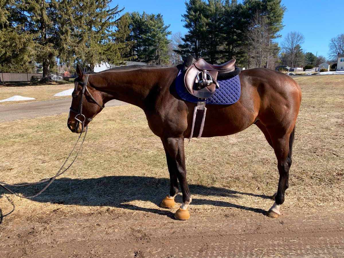 Sherrie Courtney tweet media