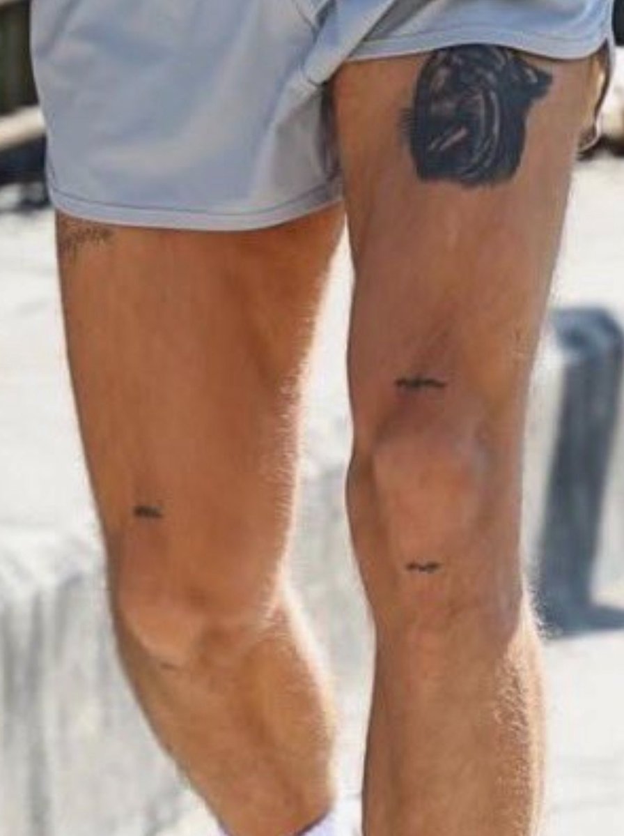 He’s literally all muscle omg