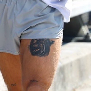 🫧emy ౨ৎ tweet media